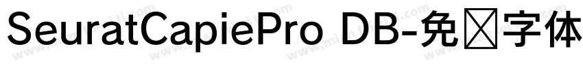 SeuratCapiePro DB字体转换